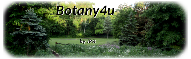 Botany4u by JPB